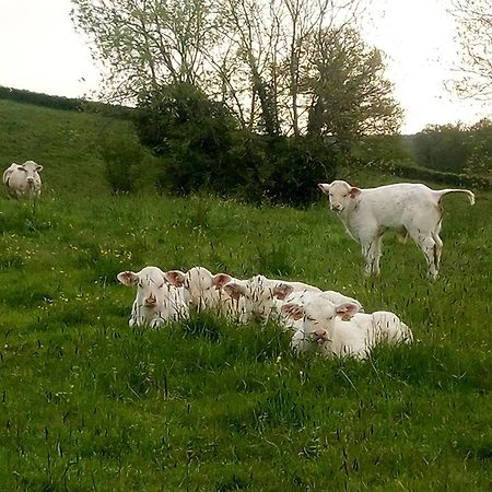 Gite A La Ferme Le Rousset Экстерьер фото